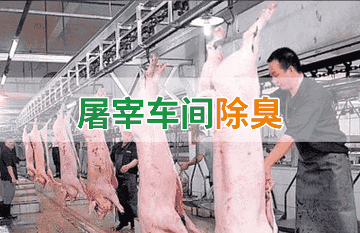 屠宰場臭氣影響周邊環境？解決辦法在這里-1