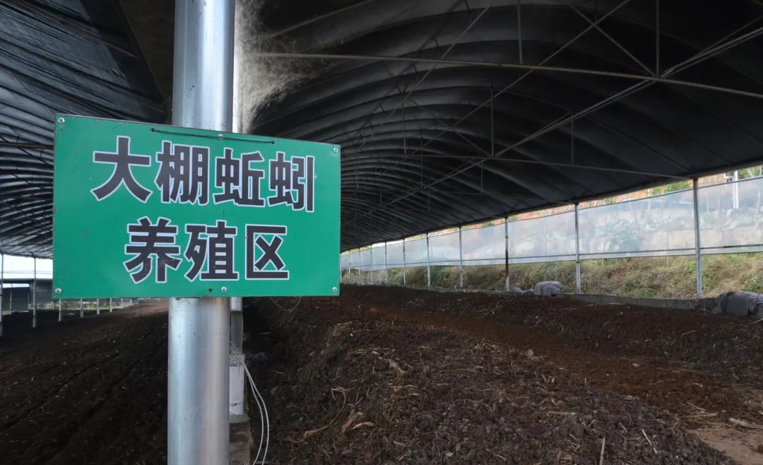 潔匠凈化·的凈工業除臭劑_的凈工業除臭劑高效治理蚯蚓養殖惡臭異味大、牛糞味濃