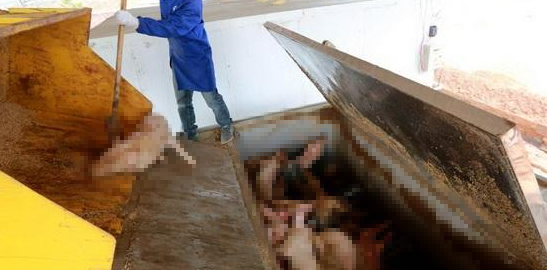 潔匠凈化·的凈工業除臭劑_動物無害化處理廠，惡臭異味危害大，工業除臭劑起作用！